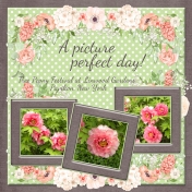 A Picture Perfect Day (ADB 