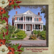 East End Historical District- Galveston, Texas (sher)