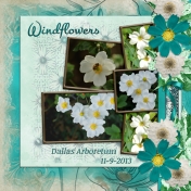 Windflowers (PattyB Scraps)