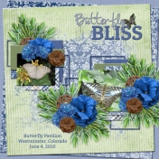 Butterfly Bliss (ADB Designs)