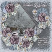 Winter Splendor (pbs)