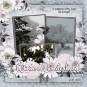 Winter Wonderland (pbs)