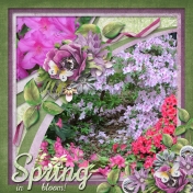 Spring in bloom! (ADS)