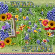 I'm WILD about SPRING (jcd2)