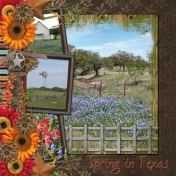 Spring in Texas (GS)