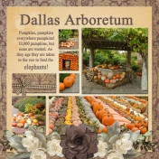 Dallas Arboretum (TSbyG)