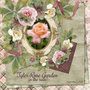 Tyler Rose Garden in the rain (DFDD)