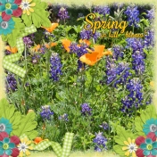 Spring in full bloom! (jcd)
