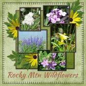 Rocky Mtn Wildflowers (ADB Designs)