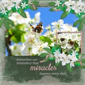 ... miracles happen everyday! (otfd)