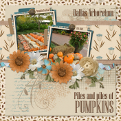 Piles and piles of PUMPKINS (ADB)