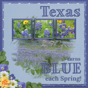 TEXAS turns BLUE each Spring (ADB)