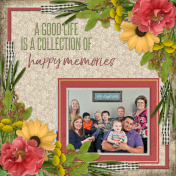A GOOD LIFE IS A COLLECTION OF happy memories2 (PBS)