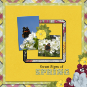 Sweet Signs of Spring2 (JDunn)