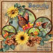 Beauty in the garden! (ADB Designs)