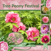 Tree Peony Festival (ADB)