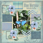 Blue Morpho- 4billie 