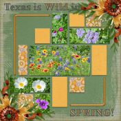 Texas is WILD in Spring...9pbs