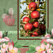 In the Apple orchard...6scr