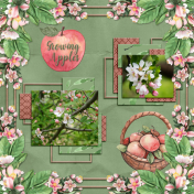 Growing Apples...6scr