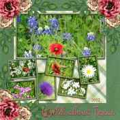 Wild about Texas...3cpjess