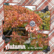 Autumn in the garden!- 3 cpjess