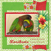 Lorikeets