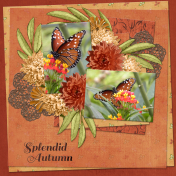 Splendid Autumn2...7adb 