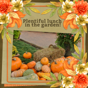 Plentiful lunch in the garden!...6scr