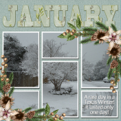 JANUARY...scr