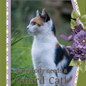 Everybody needs a GUARD CAT...7adb