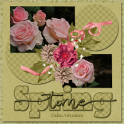 Spring time...6scr