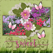 sweet Spring-B...6scr
