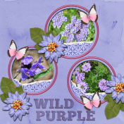 WILD PURPLE