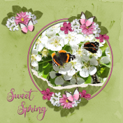 Sweet Spring-c...6scr
