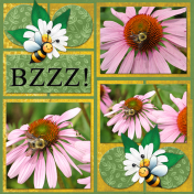 BZZZ!...6scr