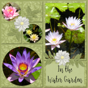 In the Water Garden...6scr