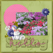 hello Spring...6scr