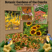 Botanic Garden of the Ozarks...6scr