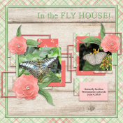 IN THE FLY HOUSE-b...JUST PEACHY