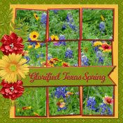 Glorified Texas Spring-b...6scr