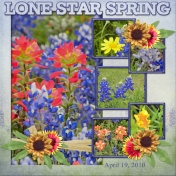 Lone Star Spring 