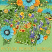 PICTURE PERFECT SPRING 