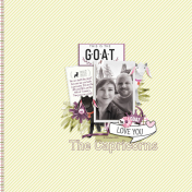 The Capricorns