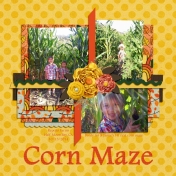 Corn Maze