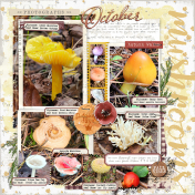 Around the Farm: October 2024 Mushrooms