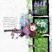Spring Blooms at the Old Farmhouse