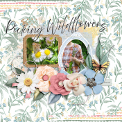 Picking Wildflowers