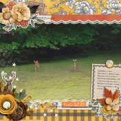 Twin Fawns Sep '24