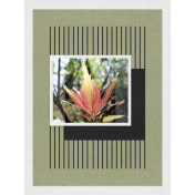 Leaf
